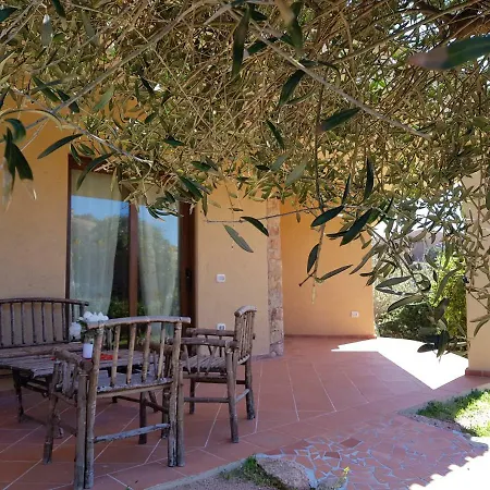 Villa Mavi With Solarium And Seaview, Swimming Pool Holiday home