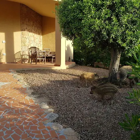 Villa Mavi With Solarium And Seaview, Swimming Pool Holiday home