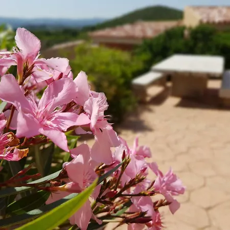 Villa Mavi With Solarium And Seaview, Swimming Pool * Costa Paradiso